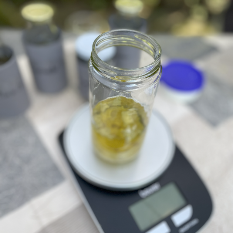 Ölauszug für Salbe Glasgefäß mit Ölauszug zur Weiterverarbeitung